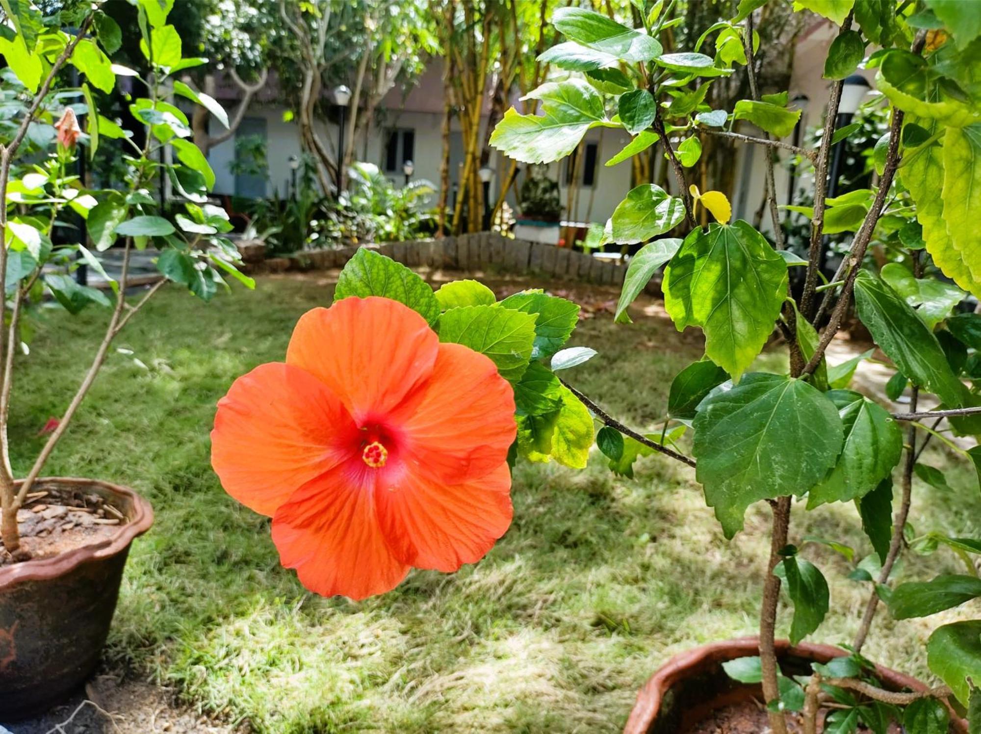 The Well Beach Side Guest House Auroville Exterior photo