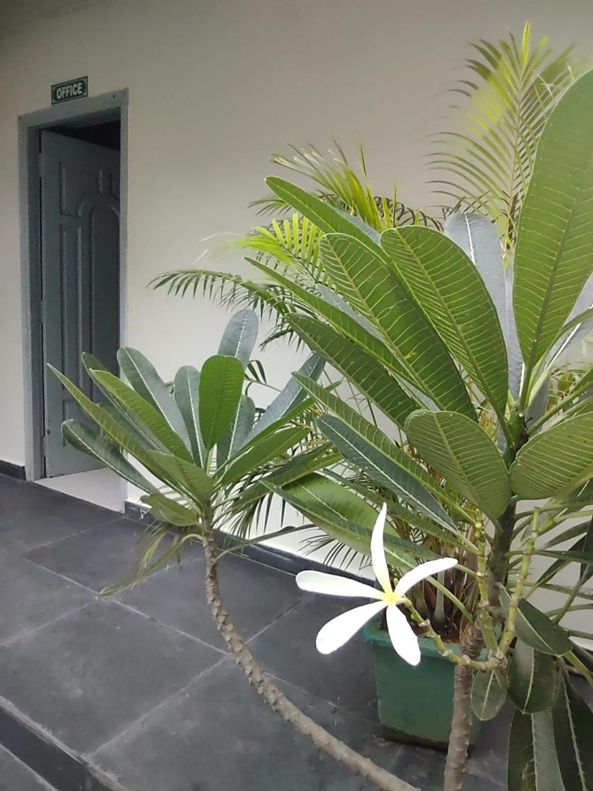 The Well Beach Side Guest House Auroville Exterior photo